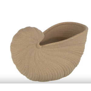 Coquillage pot porcelaine beige