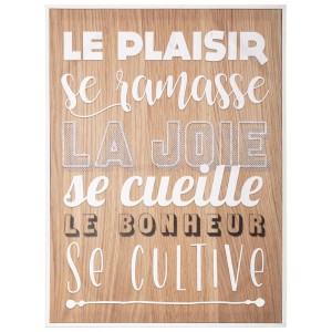 Toile imprimée "Citations" encadrée 58x78 cm 2